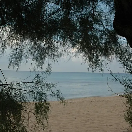 Costa D'oro Torre Ovo