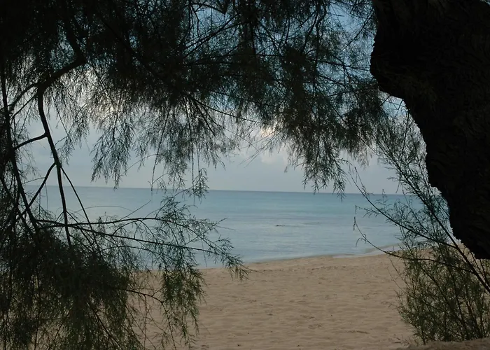 Costa D'oro Torre Ovo