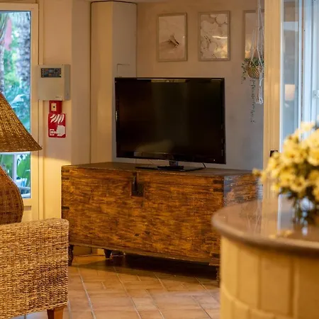 Costa D'oro Hotel Torre Ovo