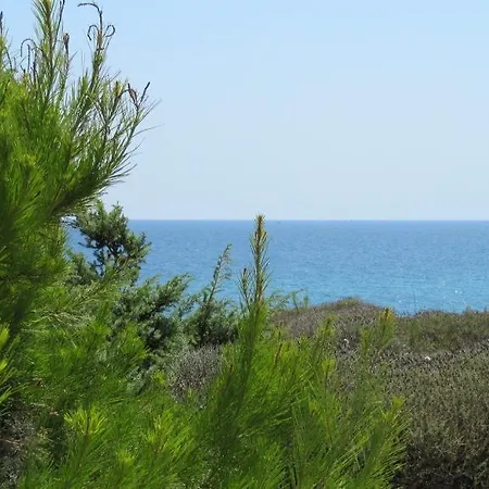 Costa D'oro Hotel Torre Ovo