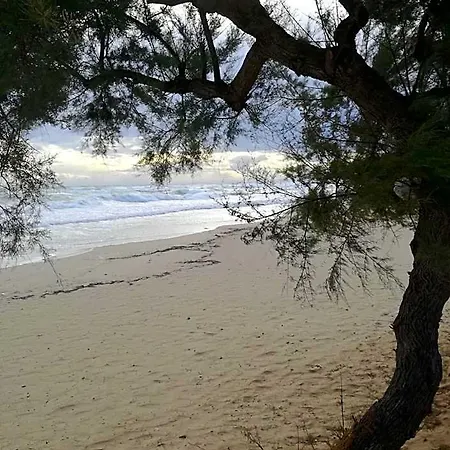 Costa D'oro 3*
