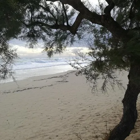 Costa D'oro 3* Torre Ovo