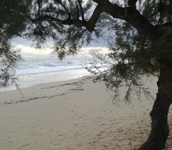 Costa D'oro 3* Torre Ovo